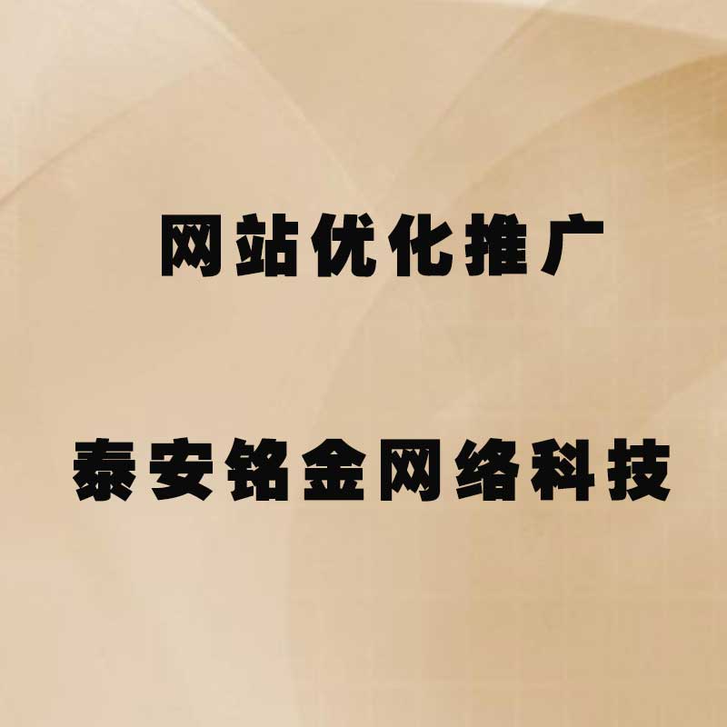 泰安网络公司 泰安网络公司