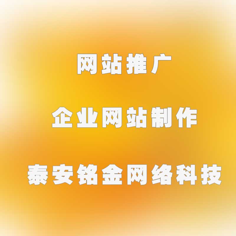 泰安网络公司 泰安网络公司
