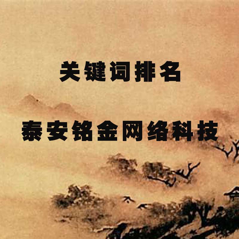 泰安网络公司 泰安网络公司