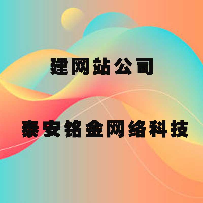 泰安网络公司 泰安网络公司