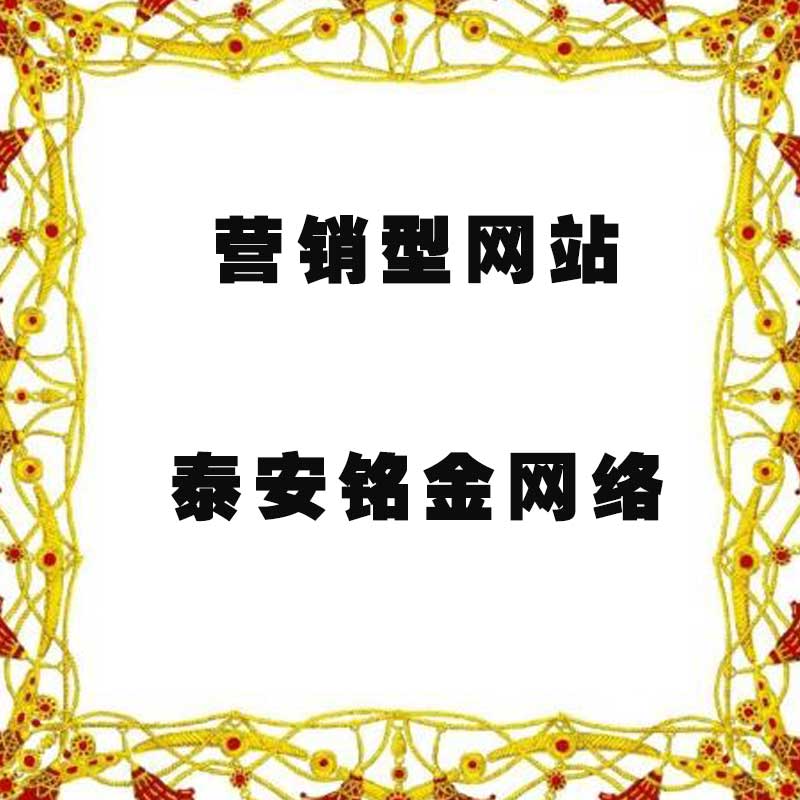 泰安网络公司 泰安网络公司