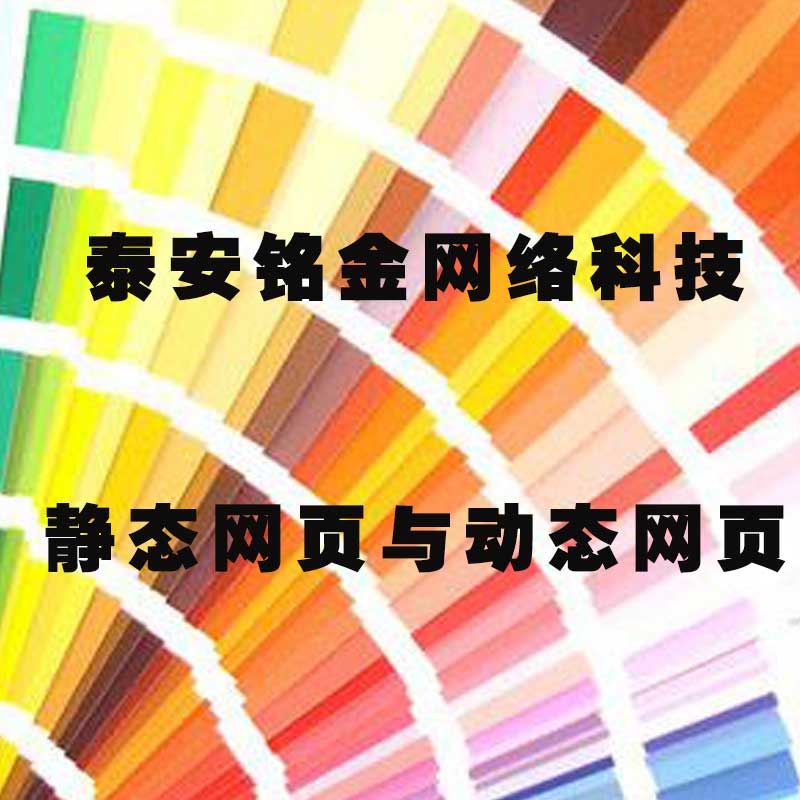 泰安网络公司 泰安网络公司