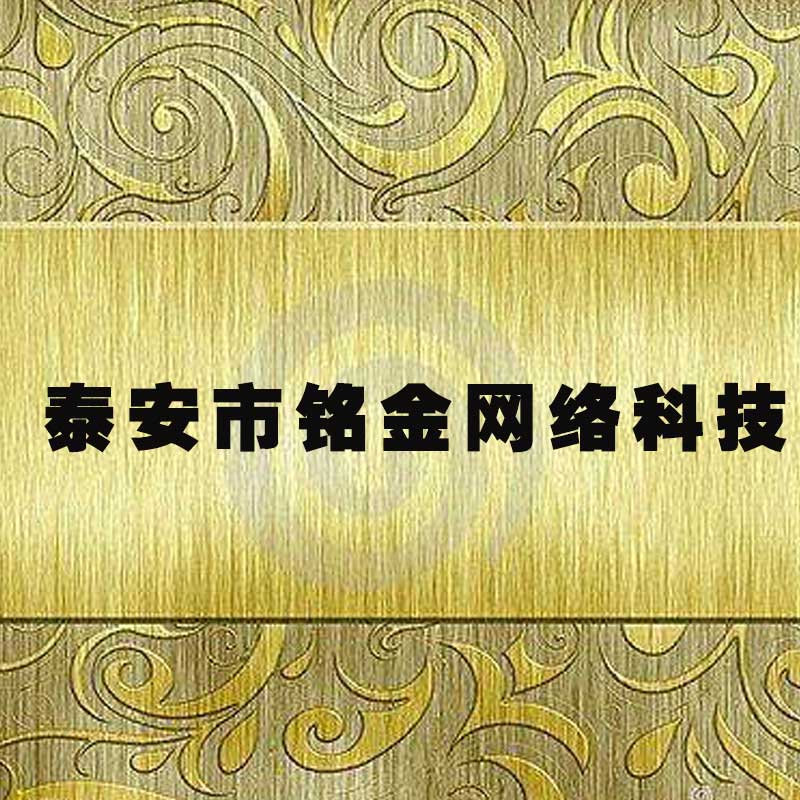 泰安网络公司 泰安网络公司
