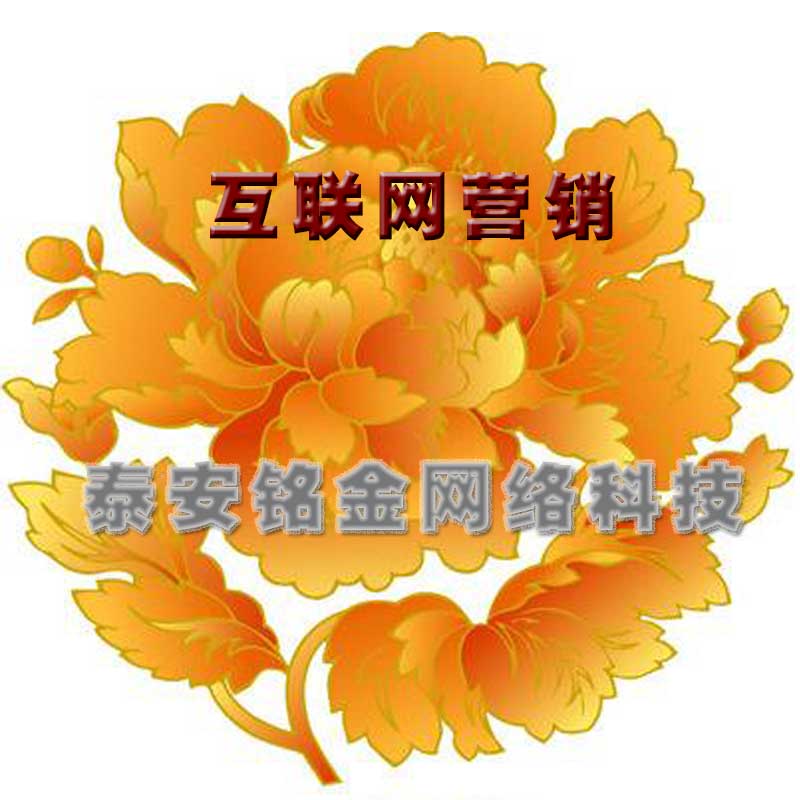 泰安网络公司 泰安网络公司