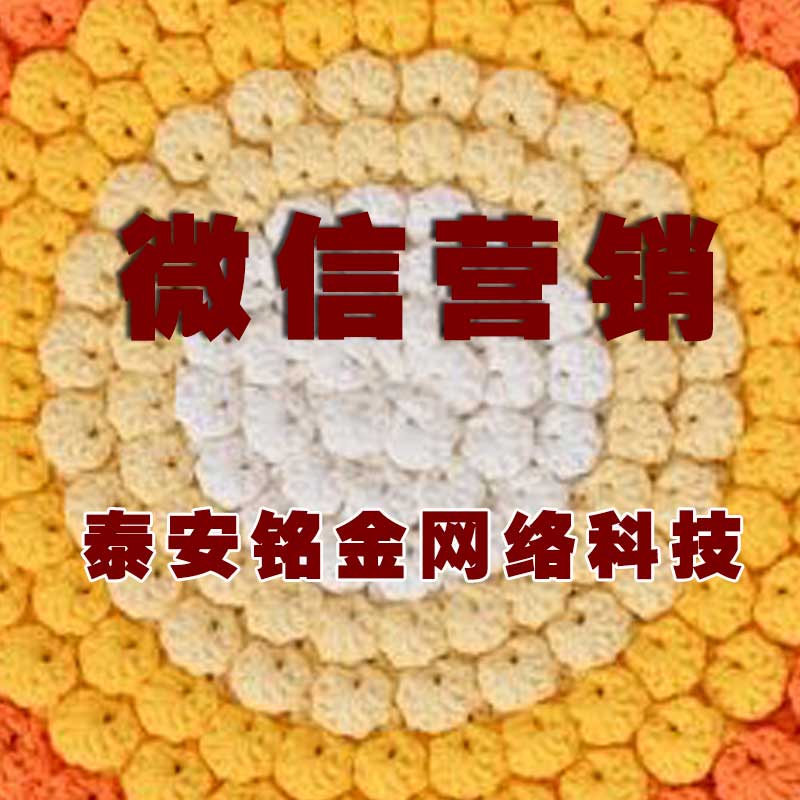 泰安网络公司 泰安网络公司