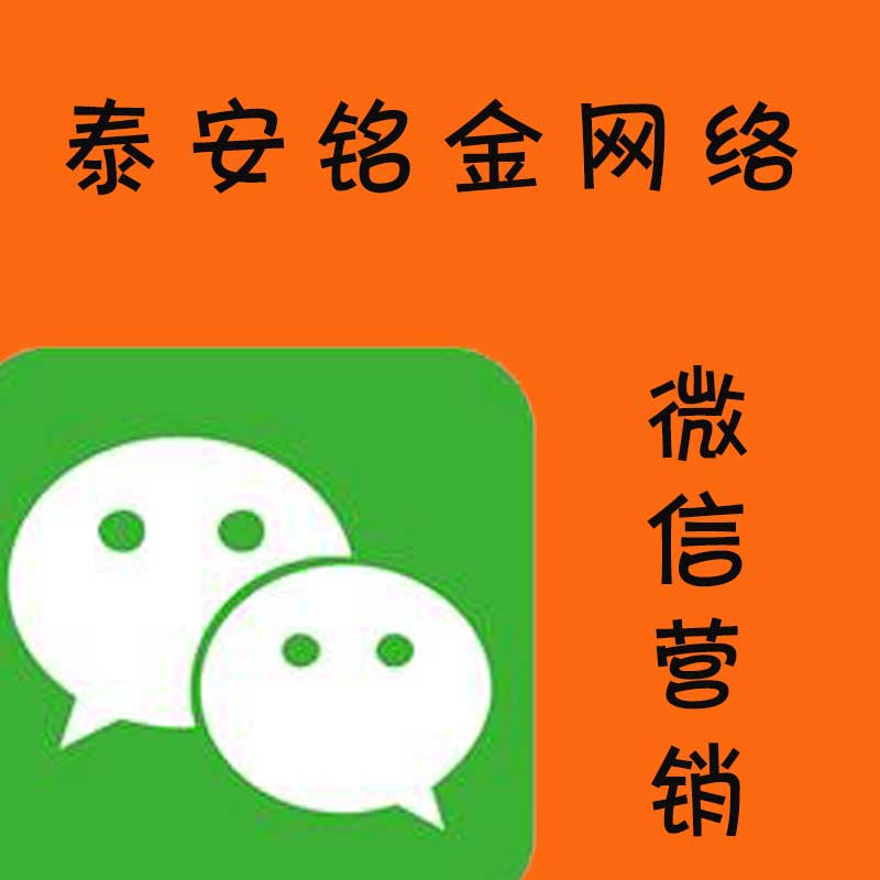泰安网络公司 泰安网络公司