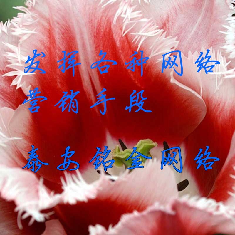 ̩�����繫˾