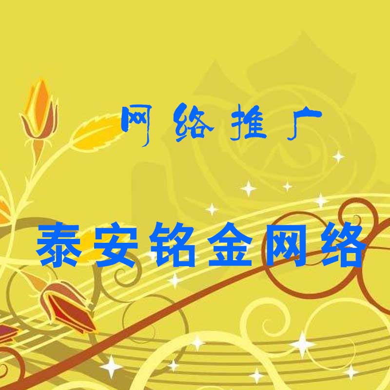 泰安网络公司 泰安网络公司