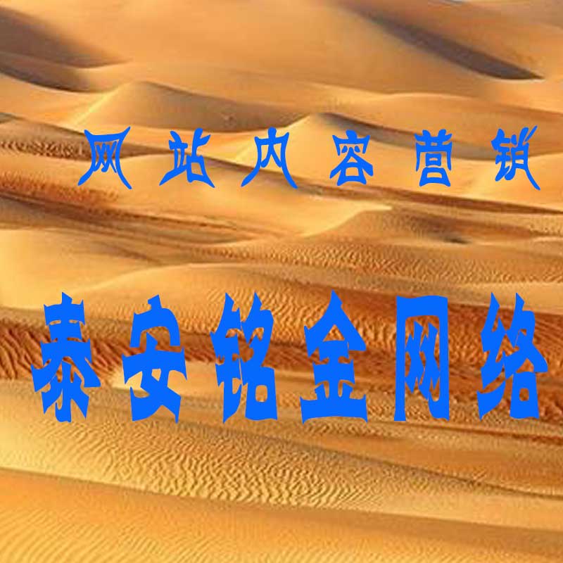 泰安网络公司 泰安网络公司