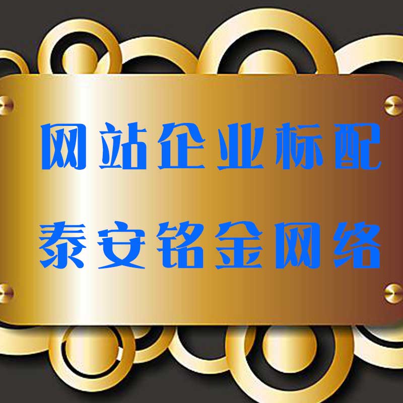 泰安网络公司 泰安网络公司