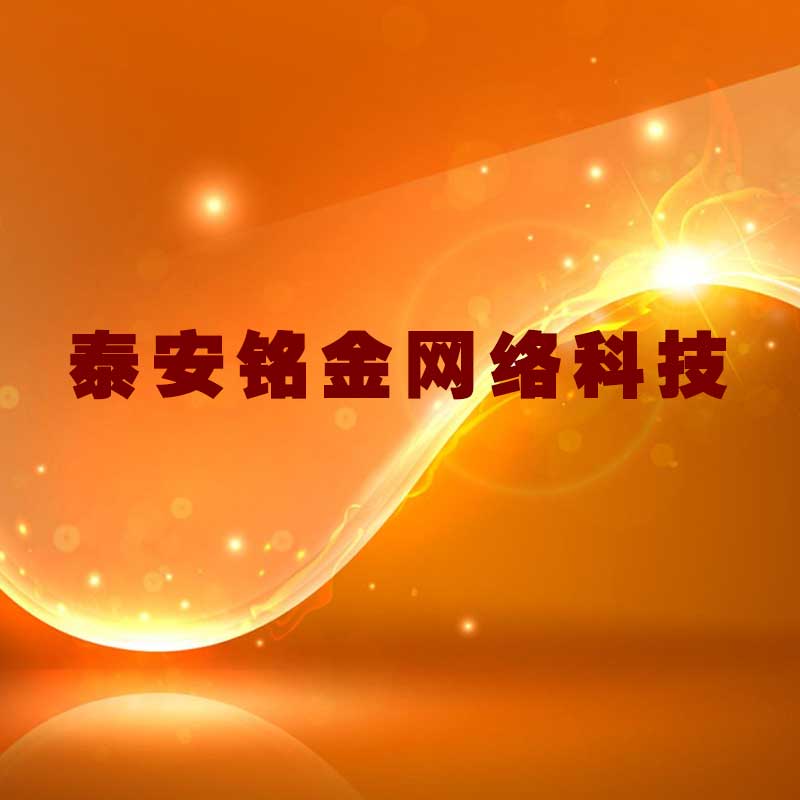 泰安网络公司 泰安网络公司
