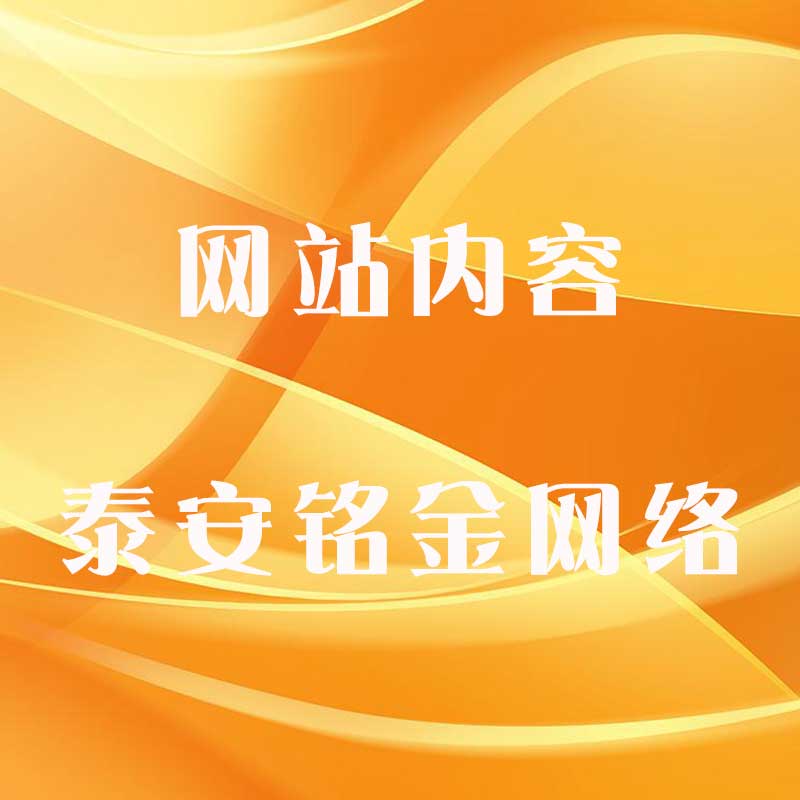 泰安网络公司 泰安网络公司
