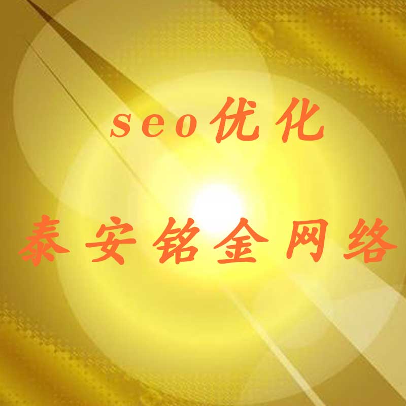 泰安网络公司 泰安网络公司