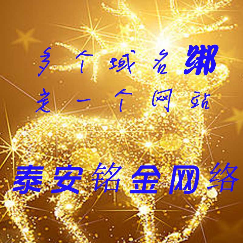 泰安网络公司 泰安网络公司