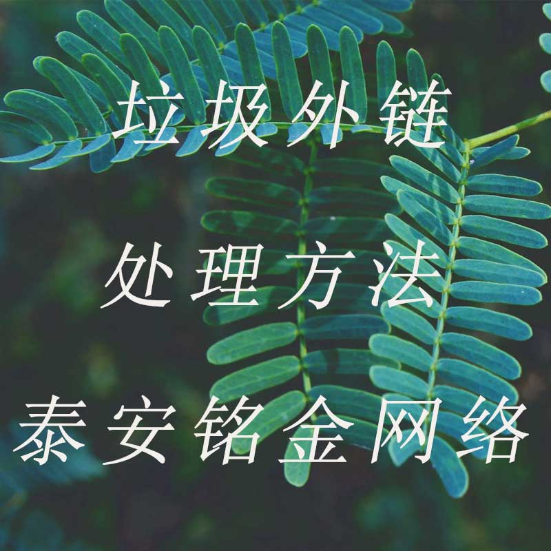 泰安网络公司 泰安网络公司