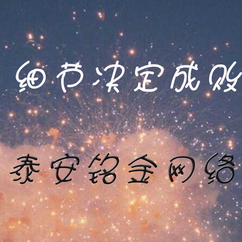 泰安网络公司 泰安网络公司