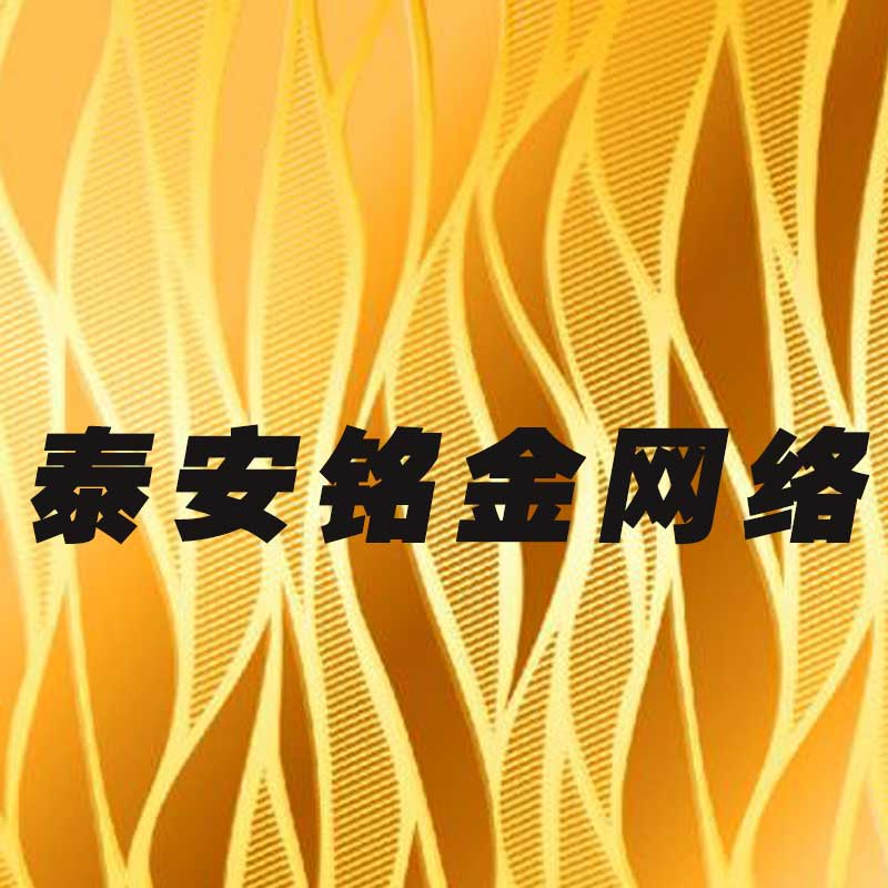 泰安网络公司 泰安网络公司