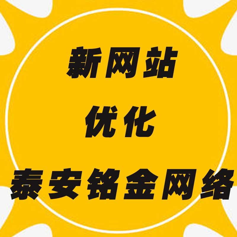 泰安网络公司 泰安网络公司