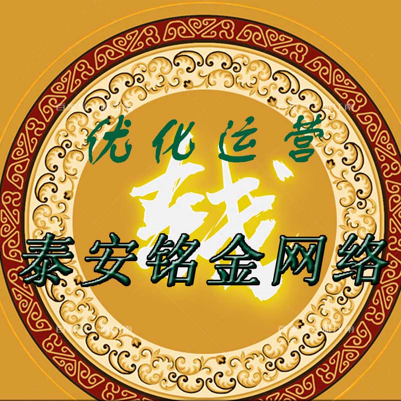 泰安网络公司 泰安网络公司