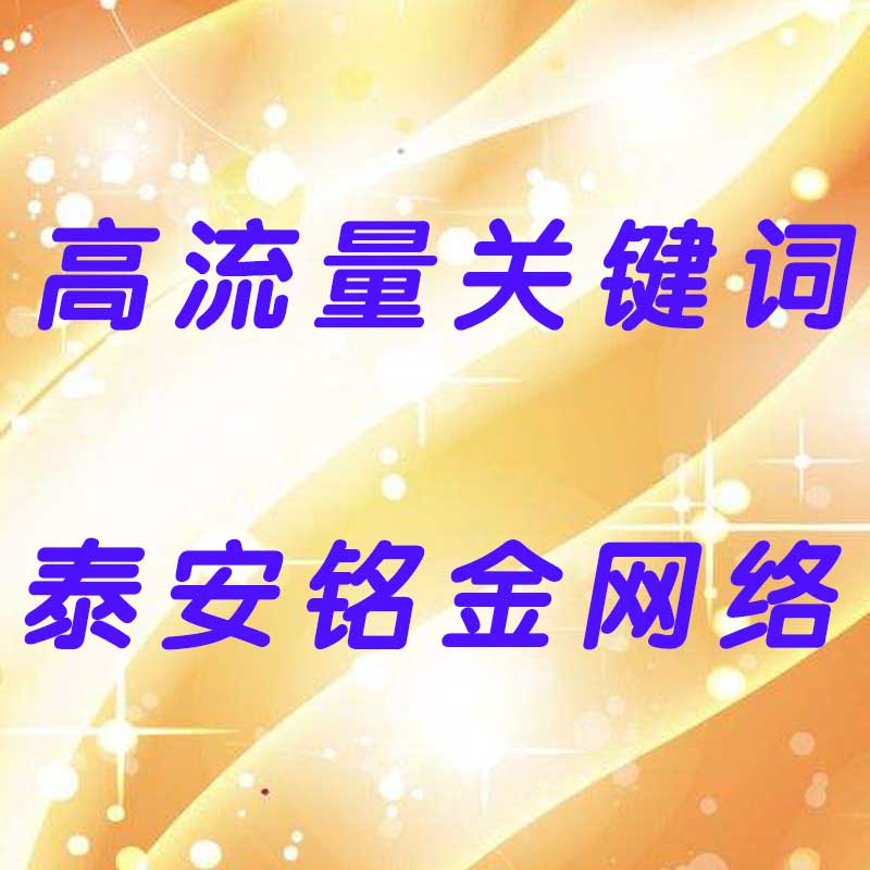 泰安网络公司 泰安网络公司