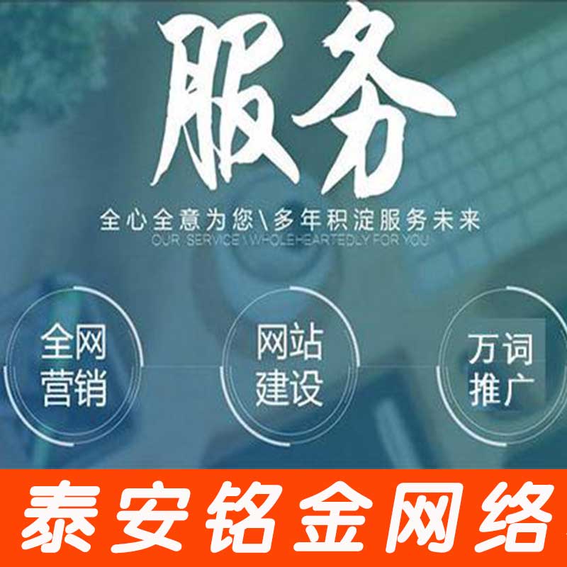 泰安网络公司 泰安网络公司