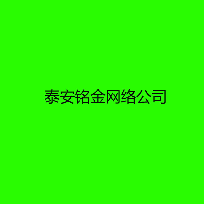 泰安网络公司 泰安网络公司