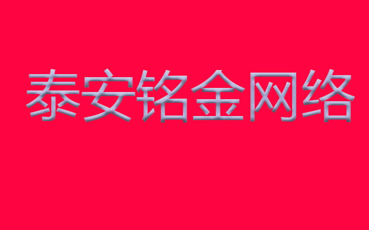 泰安网络公司 泰安网络公司