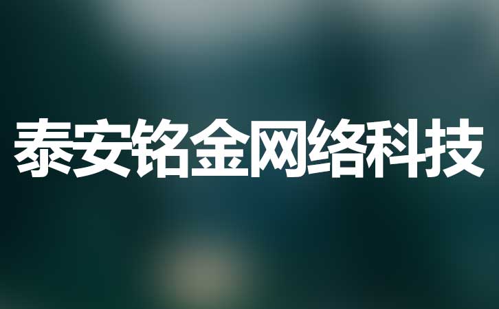 泰安网络公司 泰安网络公司