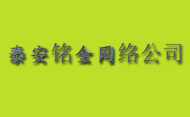 泰安网络公司 泰安网络公司