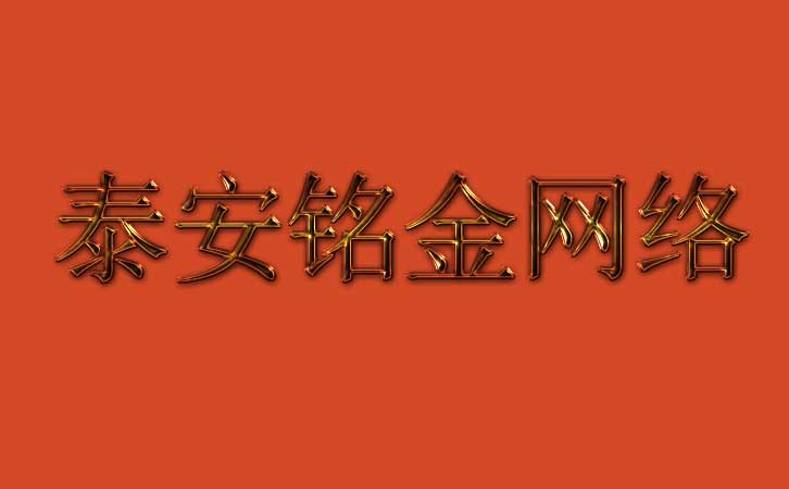 泰安网络公司 泰安网络公司