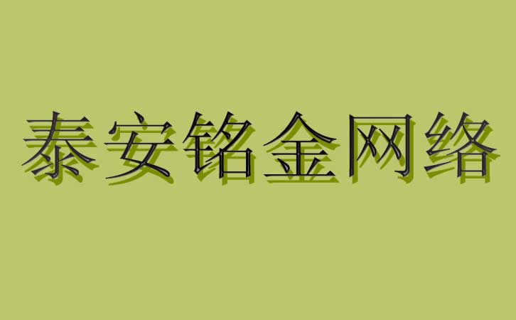 泰安网络公司 泰安网络公司