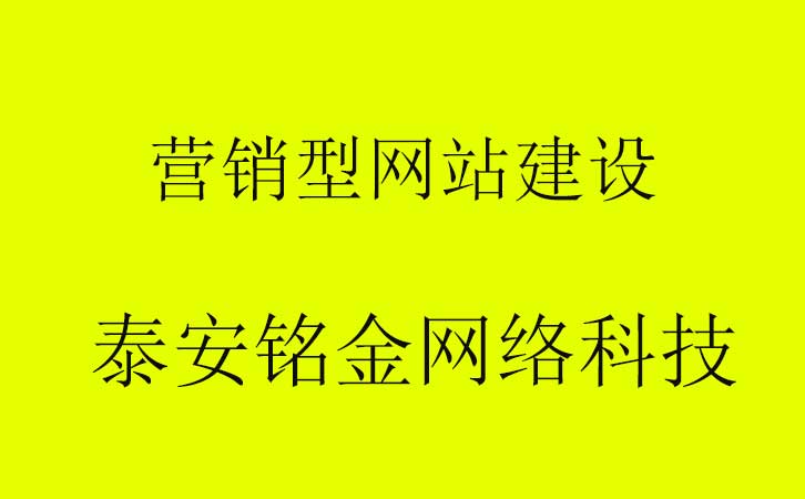 泰安网络公司 泰安网络公司