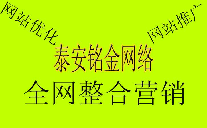 泰安网络公司 泰安网络公司