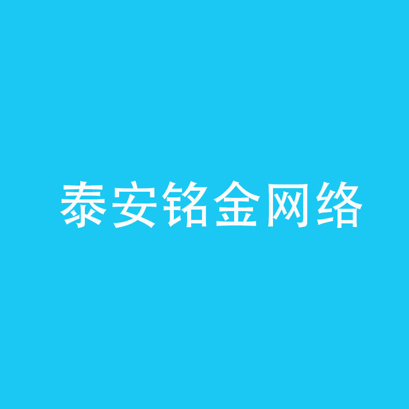 泰安网络公司 泰安网络公司