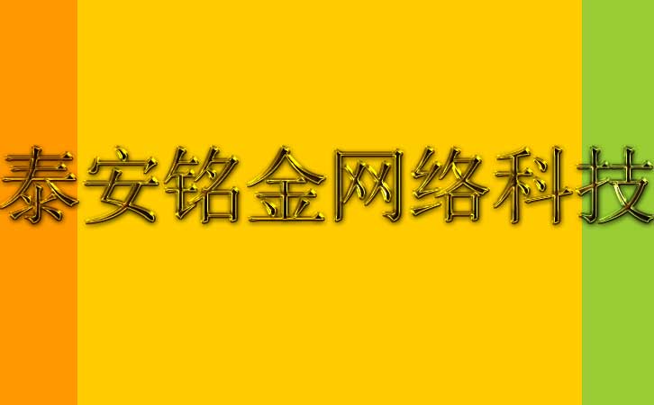 泰安网络公司 泰安网络公司