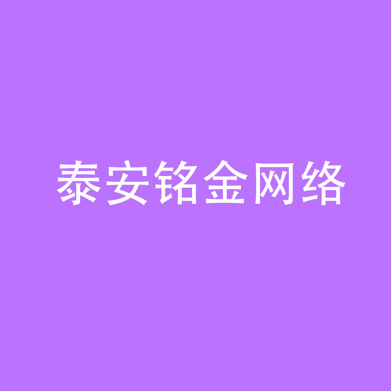 泰安网络公司 泰安网络公司