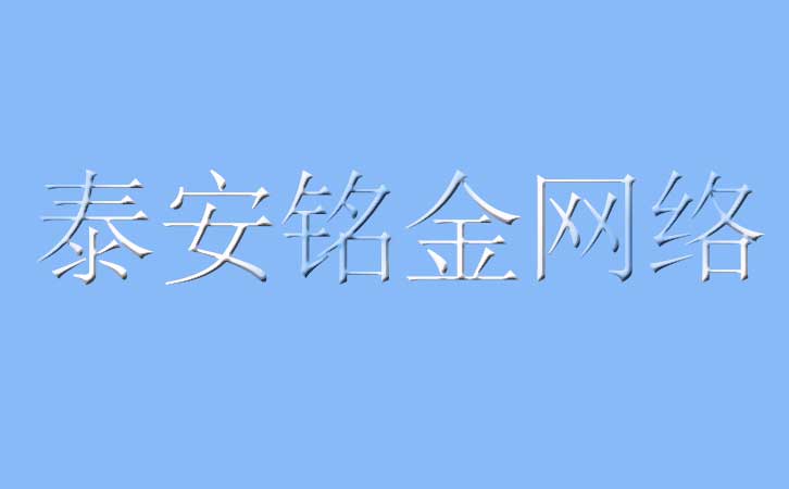 泰安网络公司 泰安网络公司