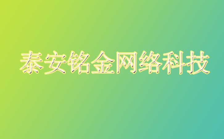 泰安网络公司 泰安网络公司