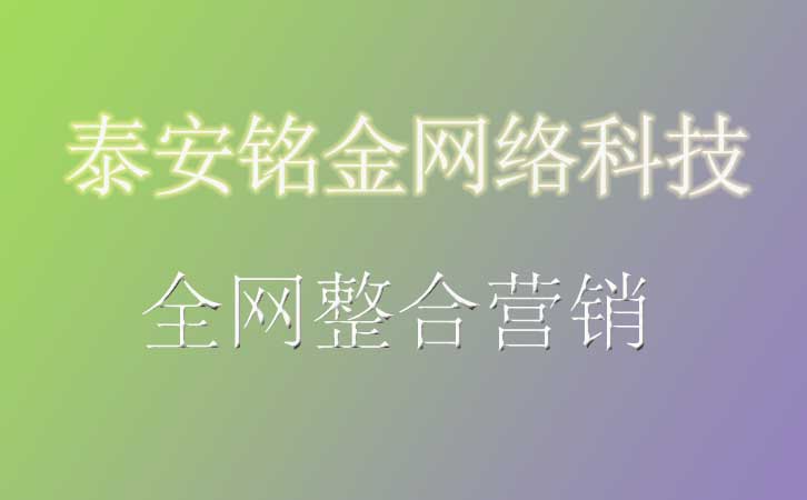 泰安网络公司 泰安网络公司