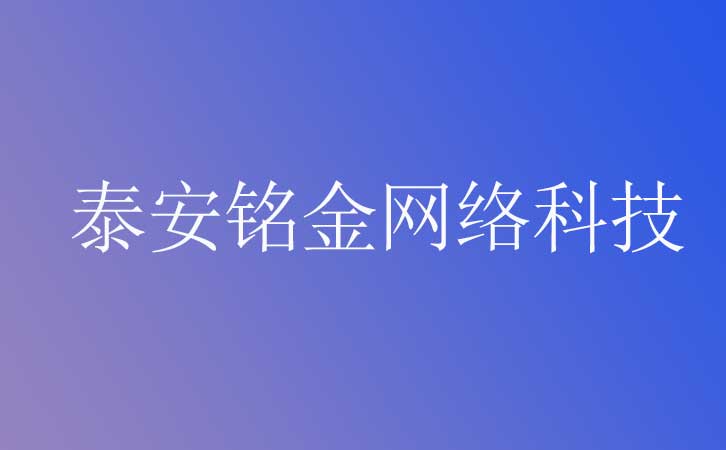 泰安网络公司 泰安网络公司