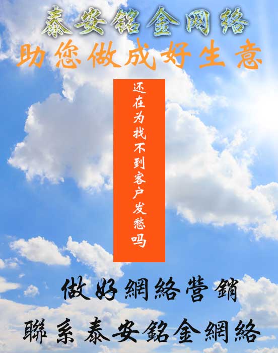 泰安网络公司 泰安网络公司