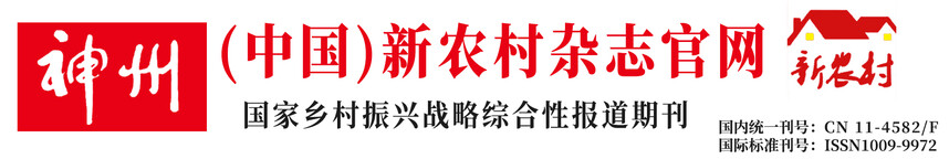神州新农村文章头图v3.jpg