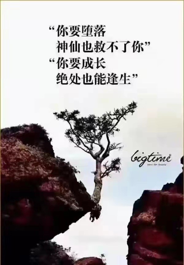 1621907589824280.jpg 2.jpg