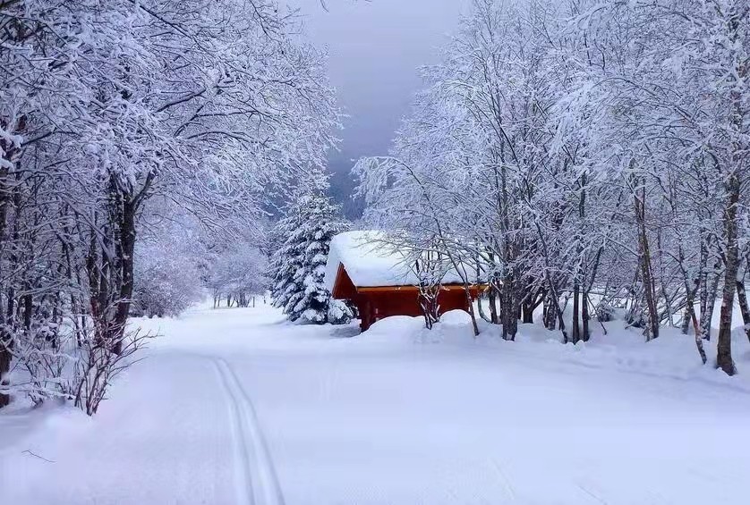 1640057379521863.jpg 1640057379521863.jpg