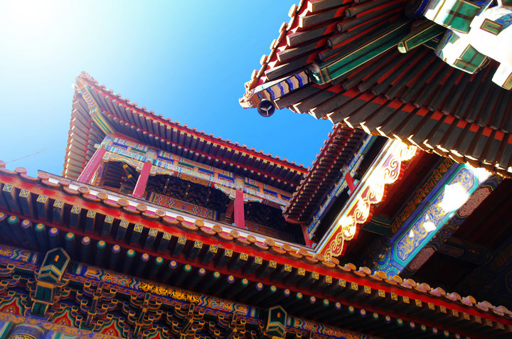 zDW(wng)_500193452_Ӻ͌mI(y)ã.jpg