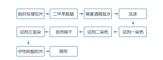 δ-1.jpg