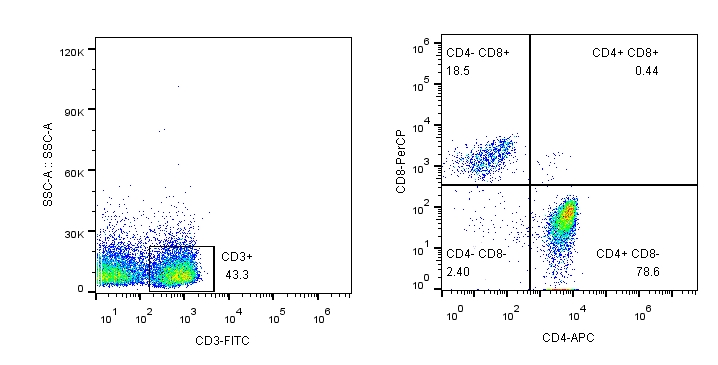 CD4和CD8细胞