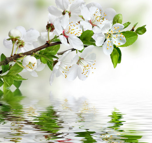 rdn_533e0d3f296d8.jpg