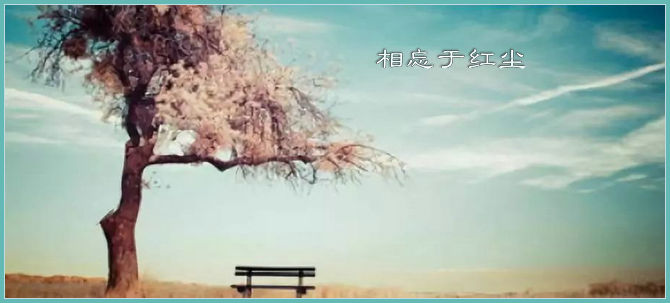 a82f3c8fa8cc4e48960d2b6b1ca82d40.jpg