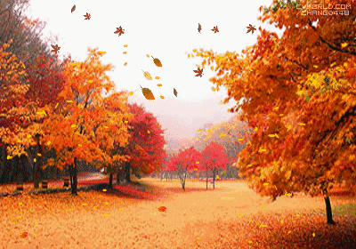 12bdfcc8748245deadd7c086642dc0f9.gif